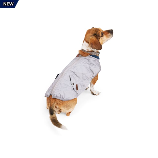Insulated dog vest Clearance