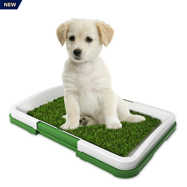 Pet Pal Puppy Artificial Grass Potty Trainer Mat, 18.5" L X 13.5" W Petco
