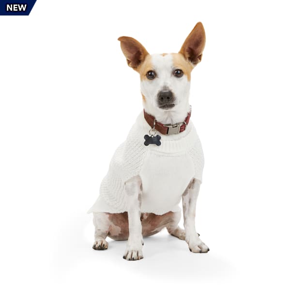 Reddy Ivory Reflective Dog Sweater, X-Small - Carousel image #1