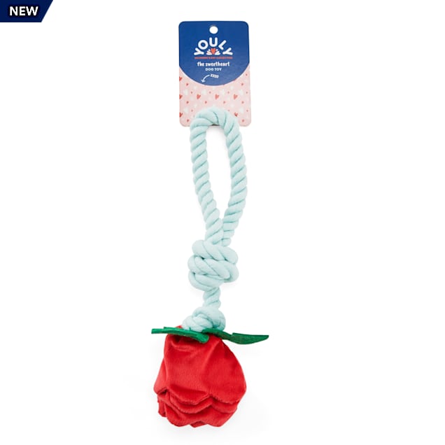 YOULY Valentine's Day Rose Rope Dog Toy - Carousel image #1