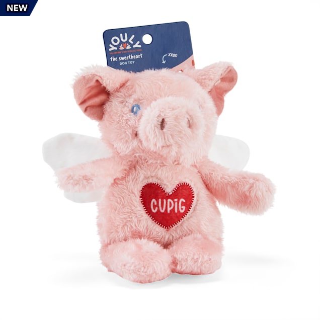 YOULY Valentine's Day Plush Cupig Dog Toy, Medium - Carousel image #1
