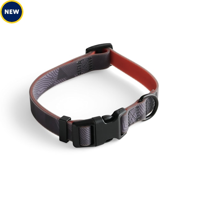 Service dog collar petco cheap