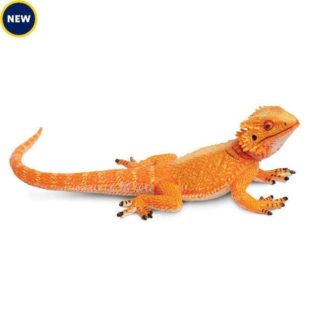 Safari Ltd Bearded Dragon Toy Figure Petco