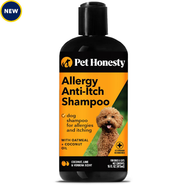 Pet Honesty Allergy Antiitch Shampoo for Dogs & Cats with Coconut Oil