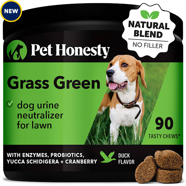 Pet Honesty Grass Green Soft Chews for Dogs, Count of 90 | Petco