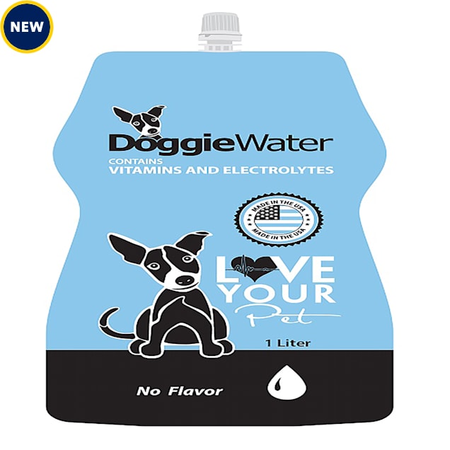 Is Flavored Water Okay for Dogs to Drink?