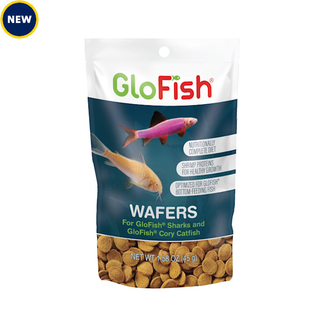 Petco glofish sale
