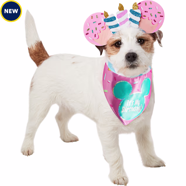 RUBIES Mickey Ears Birthday for Dogs, Pink, Medium/Large - Carousel image #1
