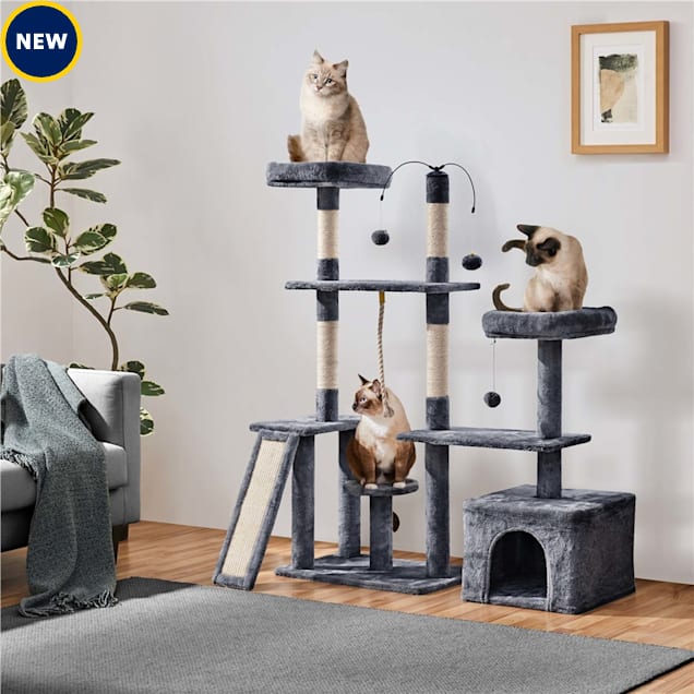 Petco cat tree coupon clearance