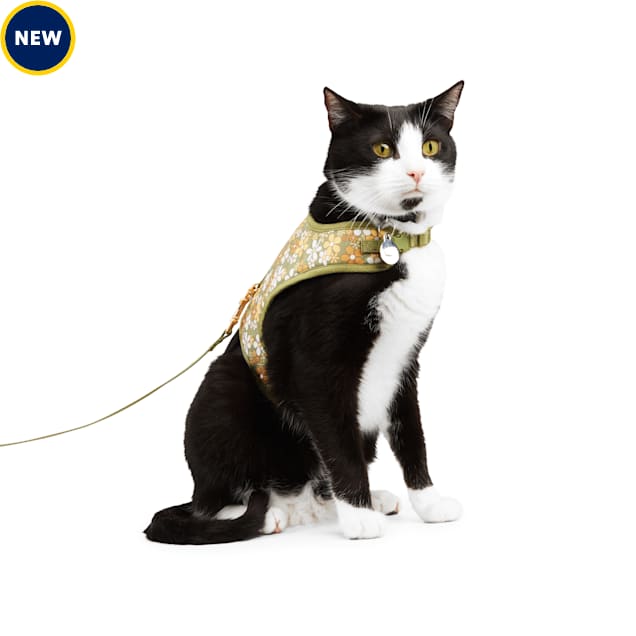 YOULY Retro Floral Cat Harness Set, Small/Medium Petco
