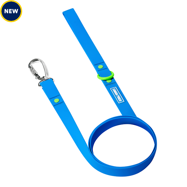 Canada Pooch Blue Waterproof Dog Leash, Small/Medium, 5 ft. Petco