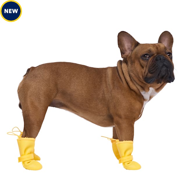 Canada Pooch Yellow Waterproof Dog Boots, XSmall Petco