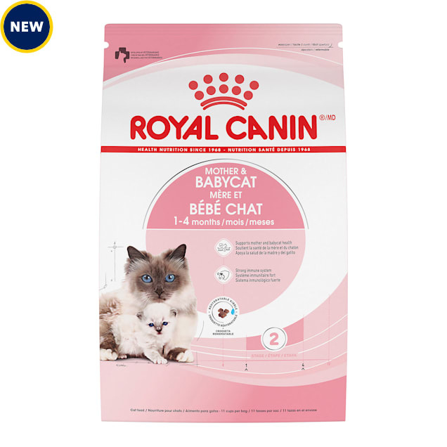 Ruwe slaap stijl Lagere school Royal Canin Feline Health Nutrition Mother & Babycat Dry Cat Food, 6 lbs. |  Petco