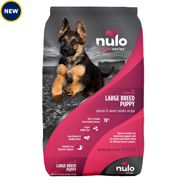 Large breed online salmon dog food
