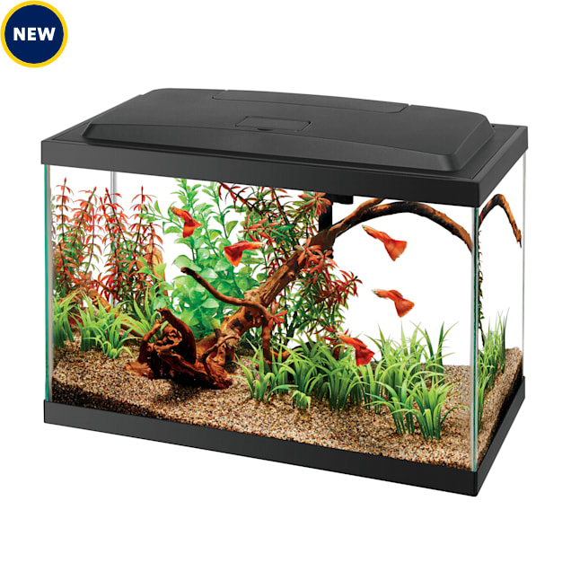 Aqueon Aquarium Starter Kit with LED Lighting, 5.5 Gallon Petco