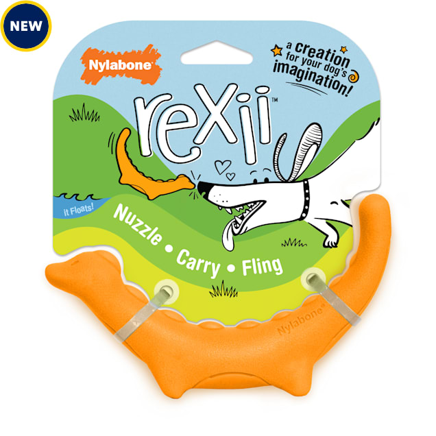 Nylabone Creative Play Rexii Interactive Dog Toy, Small Petco