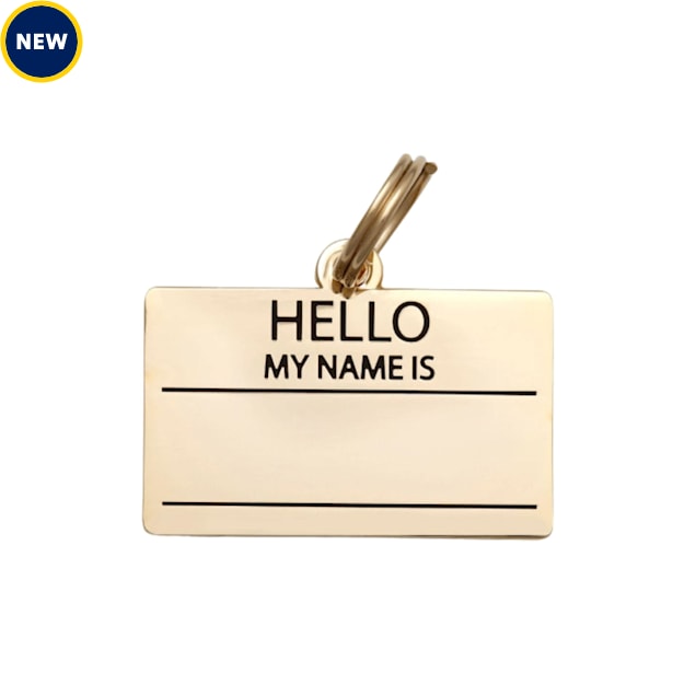 Two Tails Pet Company Gold Hello My Name is Blank Pet ID Tag Petco