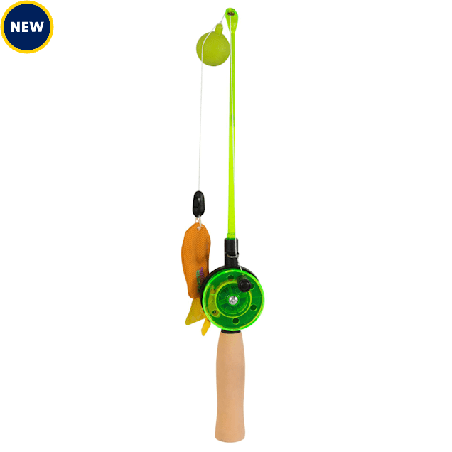 Fishing pole for cats 2025