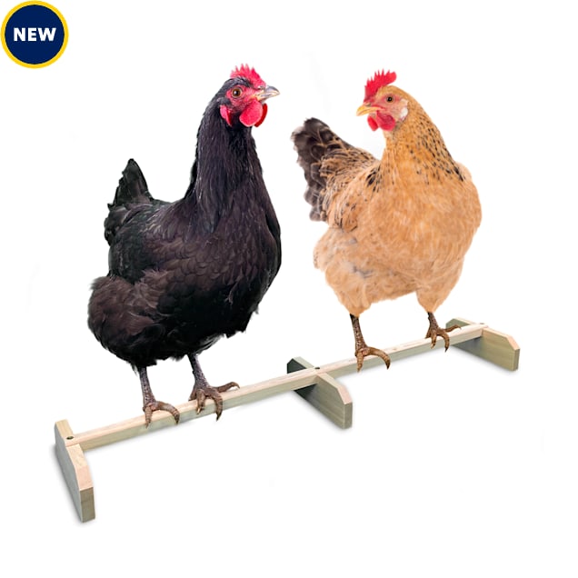 Petco cheap bird perches
