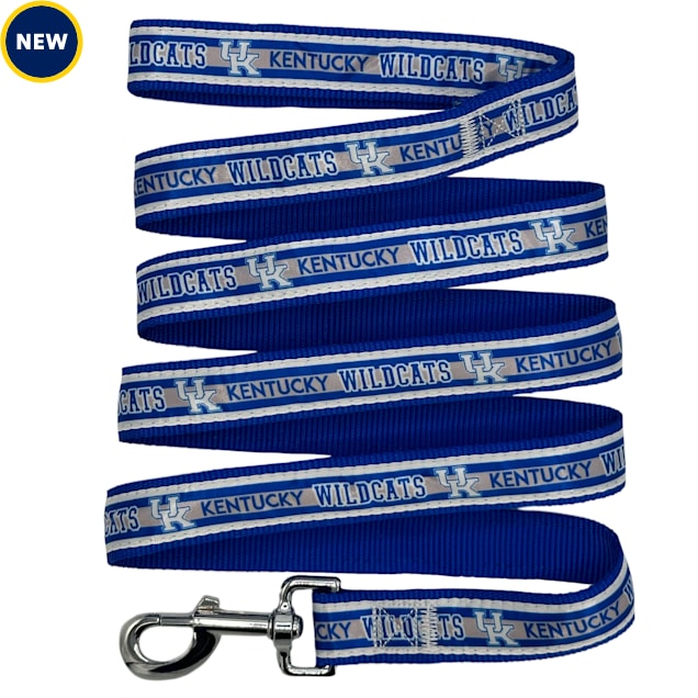 Pets First Kentucky Satin Dog Leash, Small, 6 ft. - Carousel image #1
