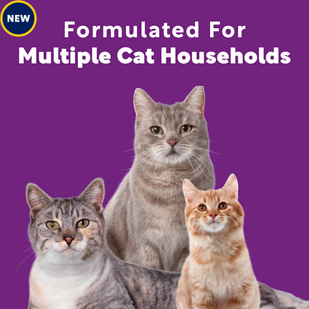 Scoop Away Complete Performance Clumping Scented Cat Litter, 42 lbs