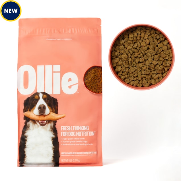 Ollie Baked Beef Dish with Sweet Potatoes Dry Dog Food, 5 lbs. Petco