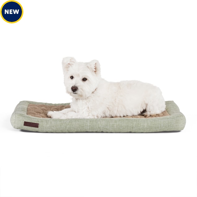 Reddy CBD Sleep Mat/Bed for Dogs, 30 L" X 19" W X 2.5" H, Green Petco