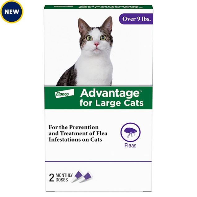 Petco cat flea hotsell treatment