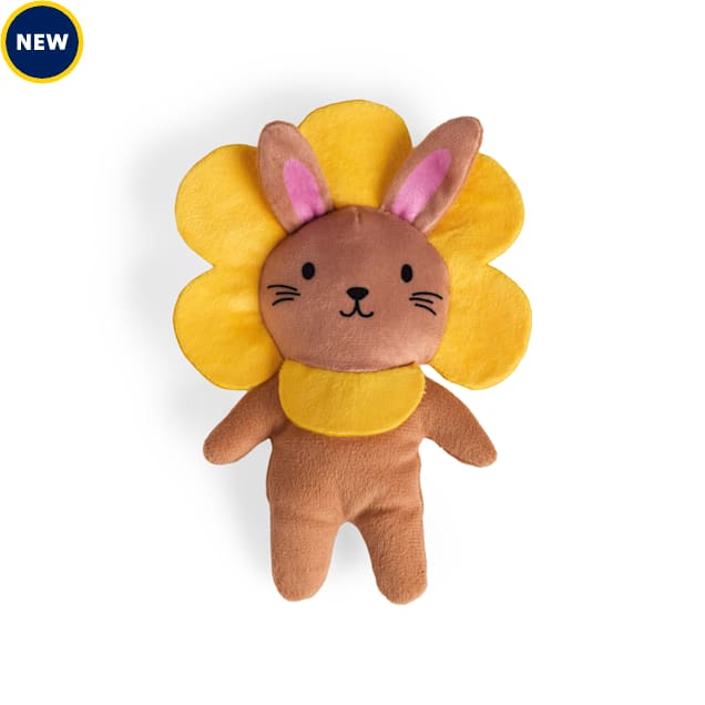 Petco Plush Flower Bunny Dog Toy, Medium Petco