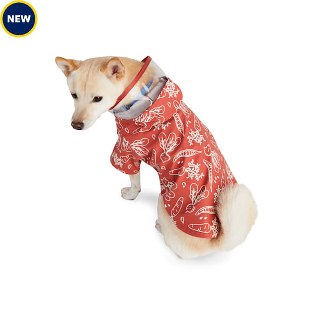 Started As A Bottle Raincoat for Dogs and Cats, XXSmall, Orange Petco