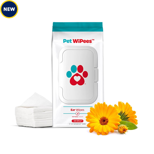 Cat wipes deals petco