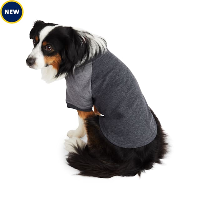 Reddy Block Sleeve TShirt for Dogs, Black, XSmall Petco