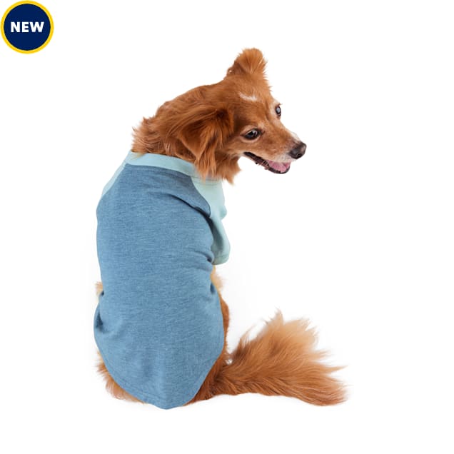 Reddy Raglan Dog TShirt, Medium, Navy Petco