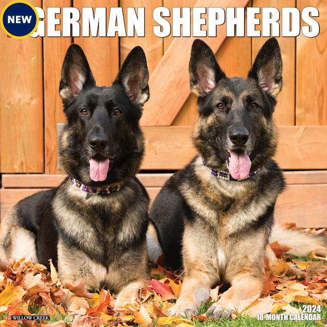 Willow Creek Press Just German Shepherds 2024 Wall Calendar 12 L X 12   3862108 Center 1