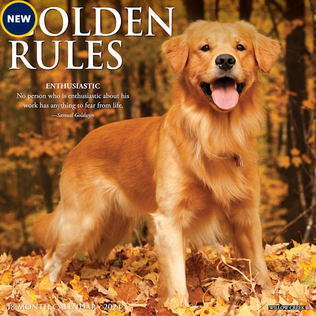 Willow Creek Press Golden Rules 2024 Wall Calendar, 12" L X 12" W, Large Petco