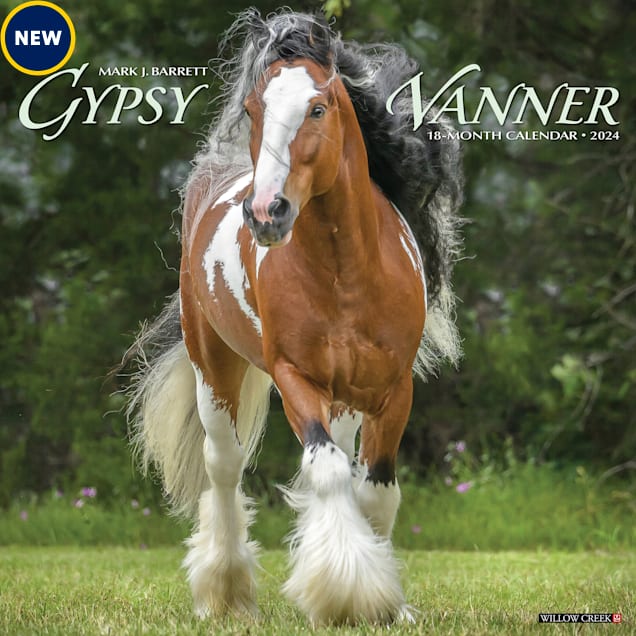 Willow Creek Press Gypsy Vanner Horse 2024 Wall Calendar, 12" L X 12" W