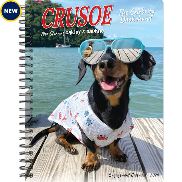 Willow Creek Press Crusoe the Celebrity Dachshund 2024 Engagement