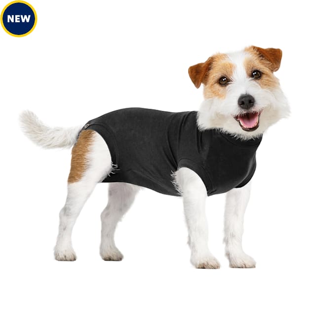 Suitical Recovery Suit Dog, Large, Black : : Pet Supplies