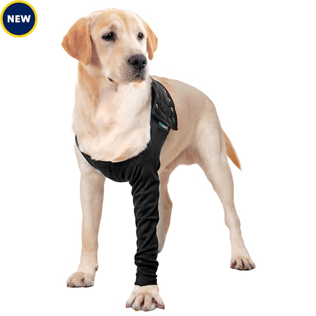Suitical recovery suit store for cats petco