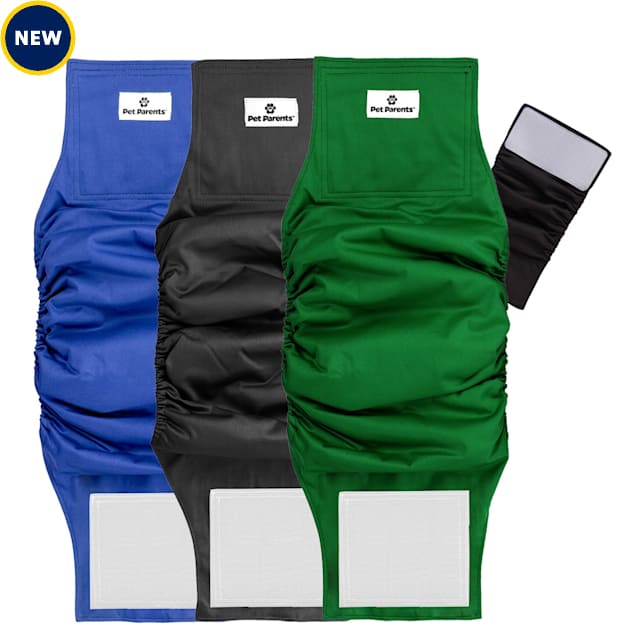 Dog belly band petco hotsell