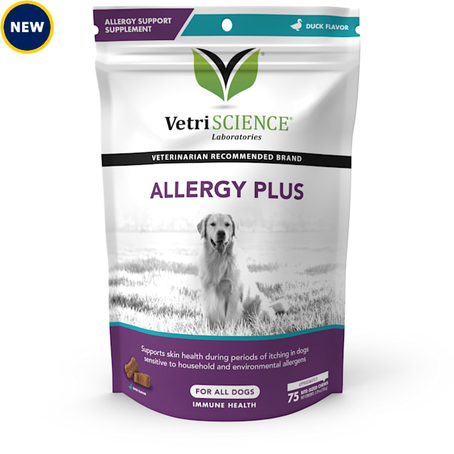 Dog immune supplements 2025