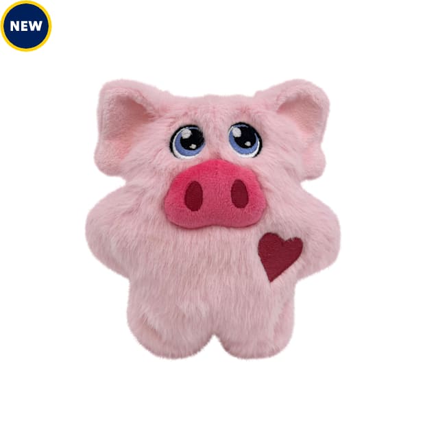 Pig dog toy discount petco