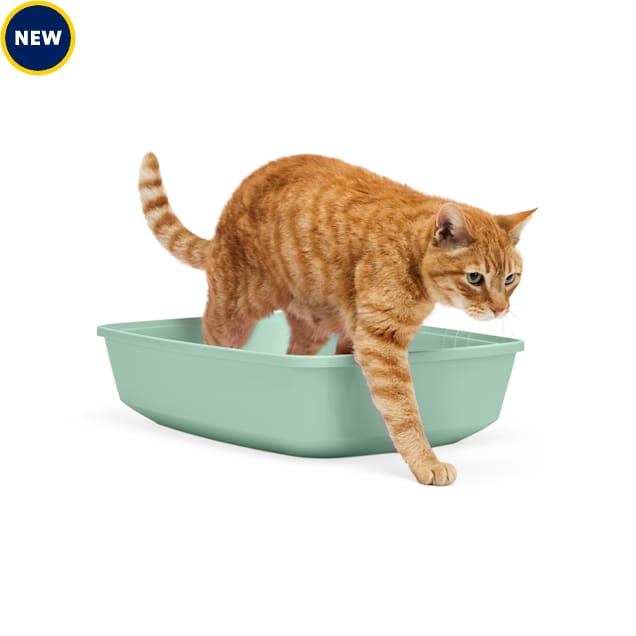 So Phresh Open Cat Litter Box, Mint, X-Large, 22.4" L X 16.9" W X 4.3" H - Carousel image #1