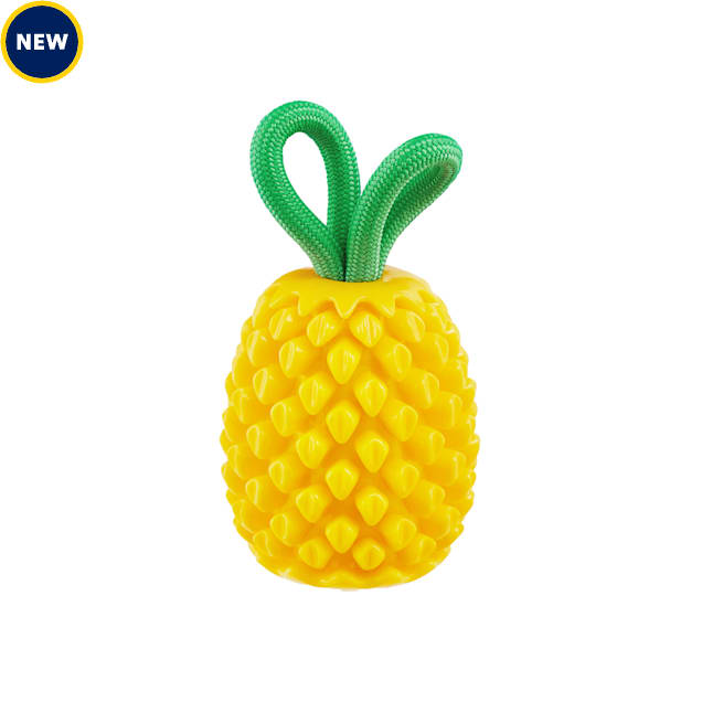 Best dental dog toys sales