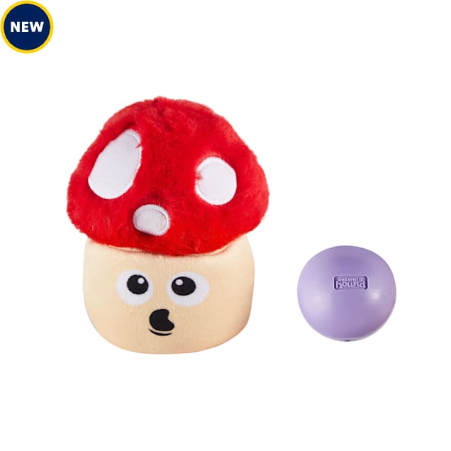 Dog puzzles petco on sale