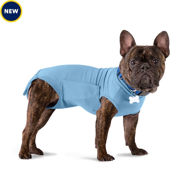 Well & Good Recovery Suit for Dogs, XX-Small/X-Small - Carousel image #1