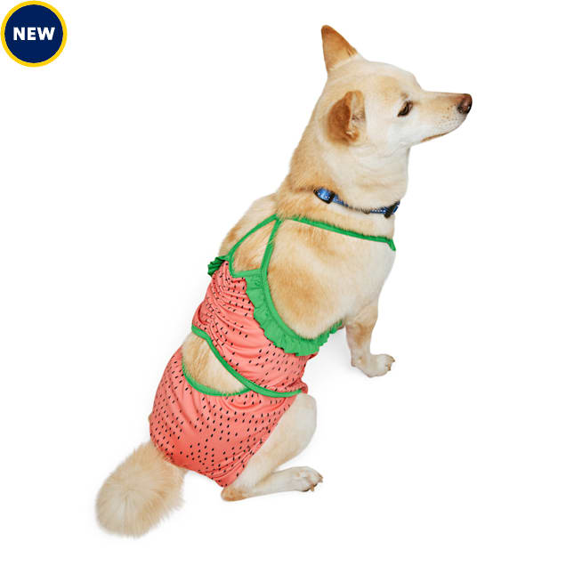 YOULY Watermelon Bathing Dog Swimsuit, X-Small, Red | Petco