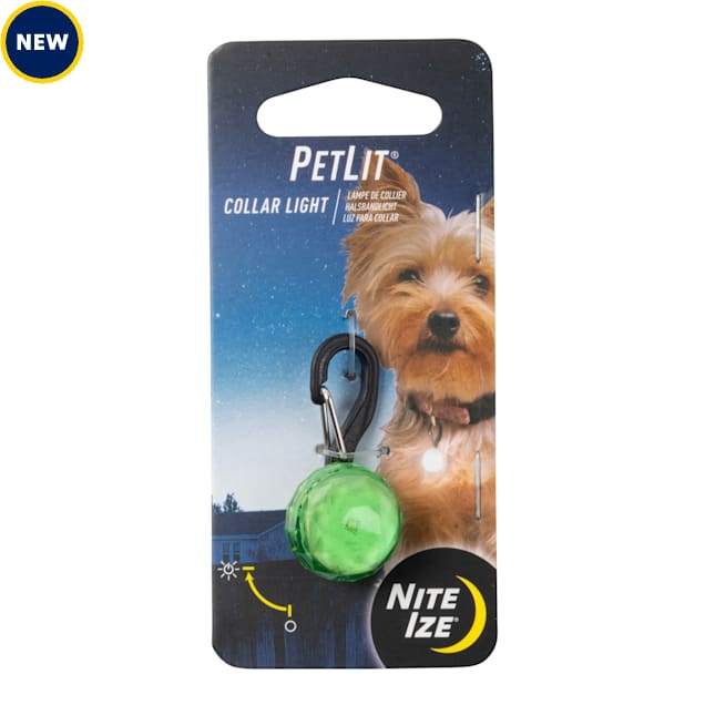 Nite ize for best sale dogs