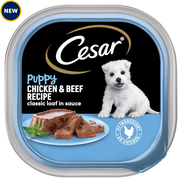 Cesar Puppy Wet Dog Food Classic Loaf in Sauce Chicken & Beef Recipe, 3.5 oz., Case of 24 - Carousel image #1