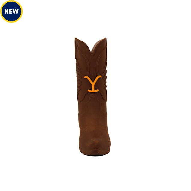 Toy hotsell cowboy boots